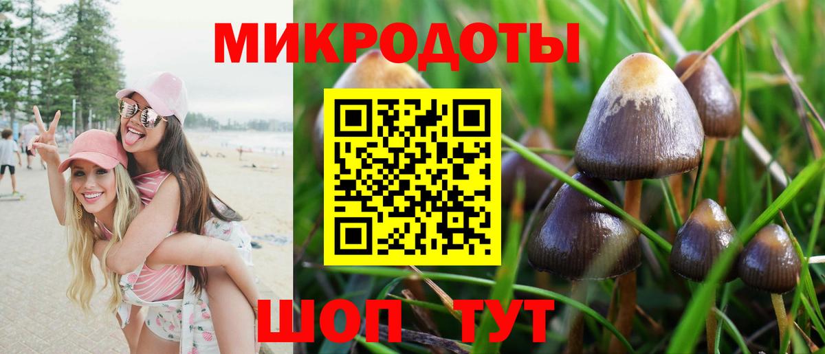 Галлюциногенные грибы GOLDEN TEACHER Новокубанск