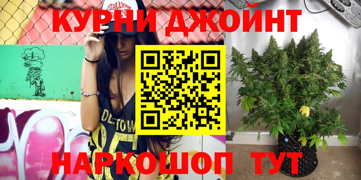 Конопля конопля Новокубанск